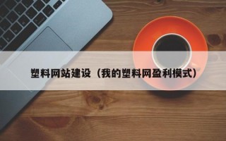 安岳塑料网站建设（我的塑料网盈利模式）