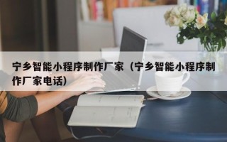 安岳宁乡智能小程序制作厂家（宁乡智能小程序制作厂家电话）