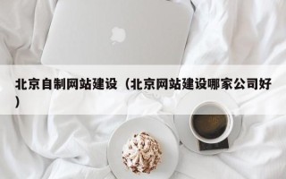 安岳北京自制网站建设（北京网站建设哪家公司好）
